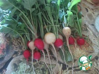 ����� � �������� ����� � ������� �����������