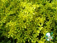 �������� ������� �� ��������� �����������