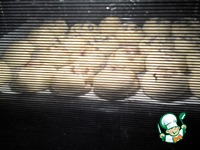 ������� ������-��������� � ����� � ������� �����������