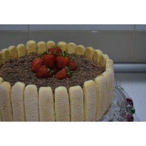 ���� "��������"