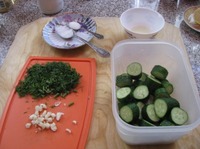 ������� ����������� ������ �����������