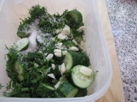 ������� ����������� ������ �����������