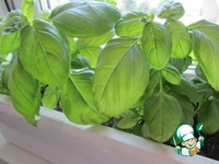 ������� ��� � ������� �� ������� "����������" �����������