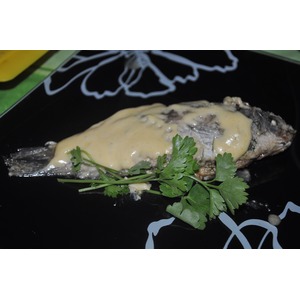 ���������� ��������