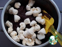 ������� ���������-��������� � ������� � �������� �����������