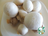 ���� �� ������ � ���������� � ������� �����������