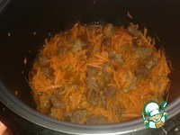 ���� � ���������� � �������-��������� ������ �����������