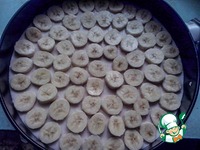 ��������-��������� ���� �����������