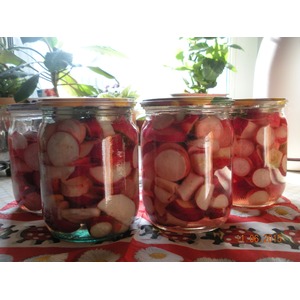 ���������������� �����