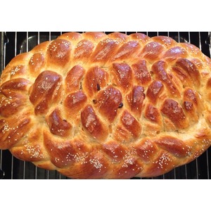 ���� �� �������������� ����