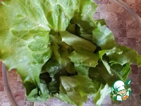 ����� � ������� � ���������� "���������" �����������