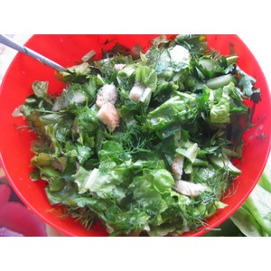 ������ ����� � ������ � �������