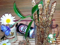 �����-������ ������� � ���� �����������