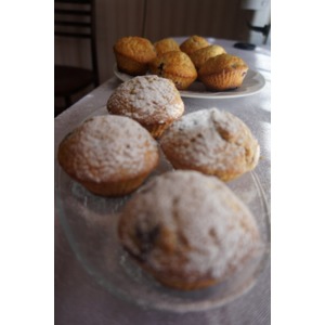 ������� �� ����������