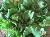 ����� �� ���� ������� ������ �����������