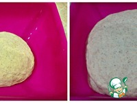 ���� "���������" � ����� �����������