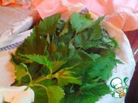 �� ������� � �������� �����������