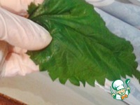 �� ������� � �������� �����������