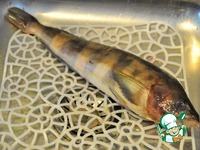 ����� ���������� � ������� ������ � ������� �����������