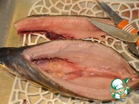 ����� ���������� � ������� ������ � ������� �����������