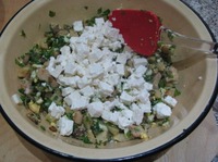 ������� ������ ����� �� ������� �������� �����������