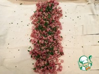 ������� �����-������� � �������� �����������