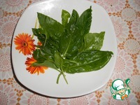 ����� "���������" �����������