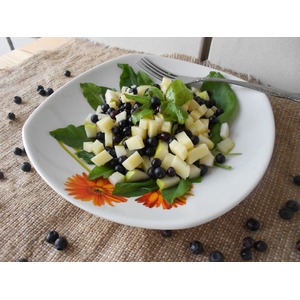 ����� "���������"