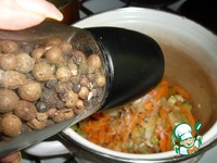 ��� �� ��������� � �������� �������� �����������