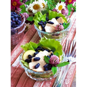 ����� � ���������� "������ ��������"