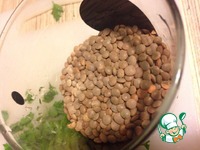 ������ ��������-���������� ��� �� ������� �����������