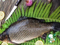 ���� � ����� ����� � ����� �����������