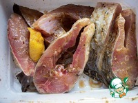 ���� � ����� ����� � ����� �����������