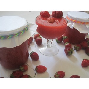 ���� ����������