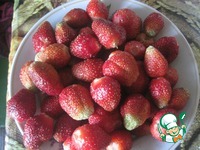 ���� "�������� � �����������" �����������