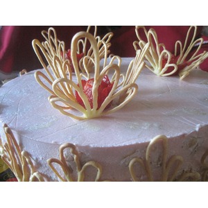 ���� "�������� � �����������"