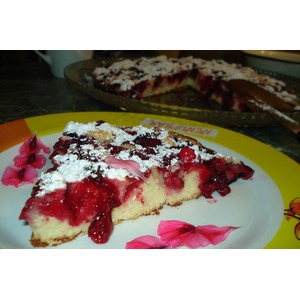 ������ ����� "�������� �������"