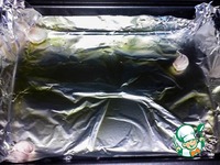 ������� ����� � �������� �����������