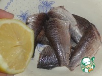 ������� "�������� � ��������" �����������