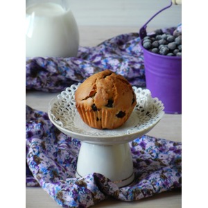 ������� � ��������