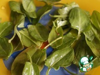 ������ ������� ����� � ������� �����������