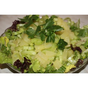 ����� ��������� ���������