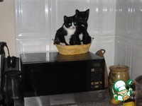 �������� ������ �����������