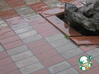 �������� ������ �����������