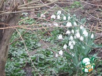 �������� ������ �����������