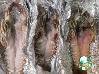 ���� ���� �������� �����������