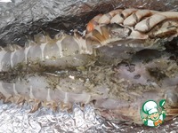 ���� ���� �������� �����������