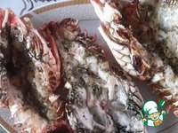 ���� ���� �������� �����������