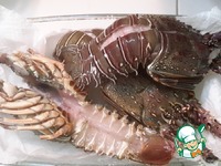 ���� ���� �������� �����������