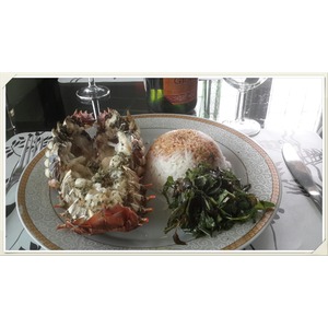 ���� ���� ��������